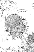 artichoke Coloring Pages To Print